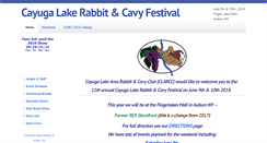 Desktop Screenshot of cayugafestival.net