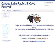 Tablet Screenshot of cayugafestival.net